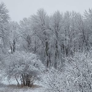 Meet your Posher, Deb